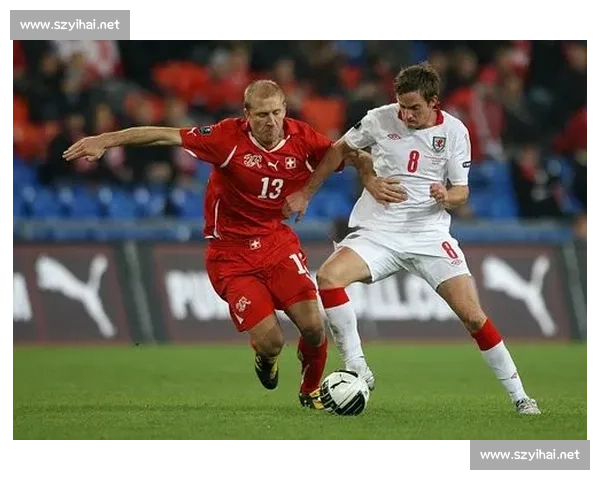 瑞士对阵波兰比赛前瞻与胜负走向深度预测分析解读全面看点解析汇